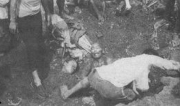 731部队在线观看,在线观看揭示的战争罪行与历史真相